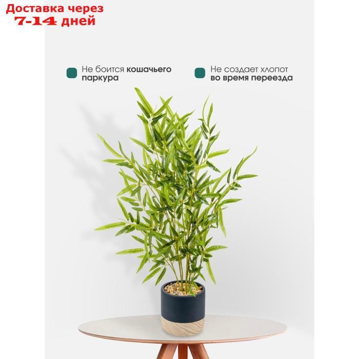 Бамбук в цементном горшке, 125×125×650 мм, цвет зелёный / чёрный / бежевый - фото 6 - id-p226978388