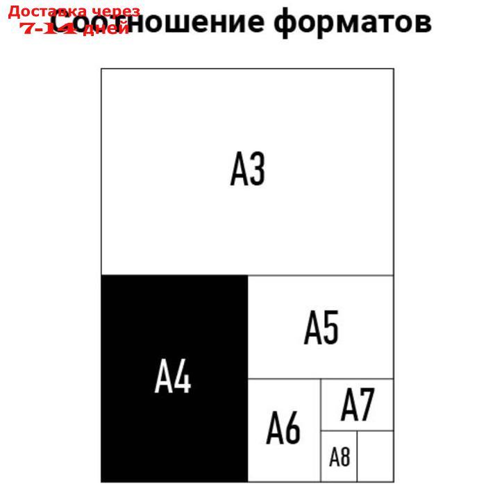 Пленка для ламинирования А4 OfficeSpace 216*303мм (125мкм) матовая 100л. - фото 4 - id-p226941695