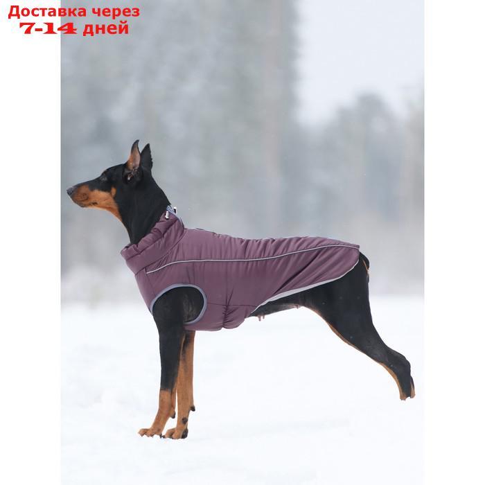 Жилет зимний на молнии для собак "Аляска", размер 25 (ДС 23-25 см, ОГ 32-42 см, ОШ 28 см), бордо 1 - фото 1 - id-p226971921