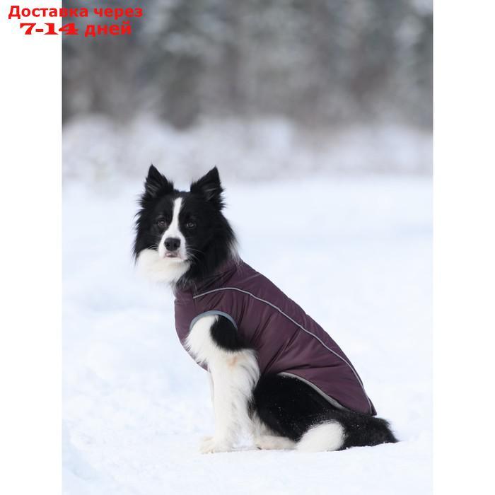 Жилет зимний на молнии для собак "Аляска", размер 25 (ДС 23-25 см, ОГ 32-42 см, ОШ 28 см), бордо 1 - фото 2 - id-p226971921