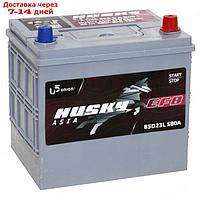 Аккумуляторная батарея Husky Asia EFB 65 Ач, 85D23L (Q85), обратная полярность