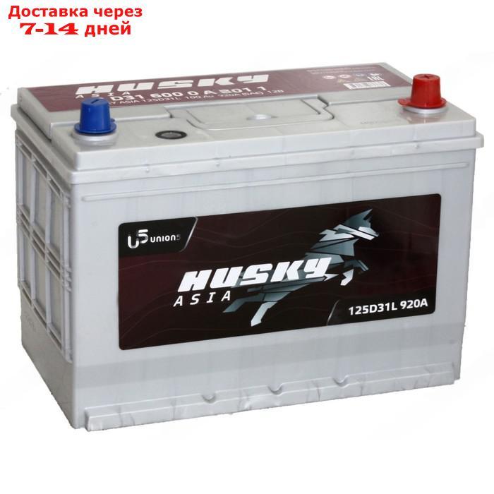 Аккумуляторная батарея Husky Asia 100 Ач, 125D31L, обратная полярность - фото 1 - id-p226979394