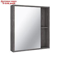 Зеркало-шкаф для ванной комнаты "Эко 60" железный камень, 13,5 х 61,5 х 66,5 см