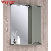 Зеркало-шкаф для ванной комнаты "Афина 60" правый, 17 х 61,5 х 80 см
