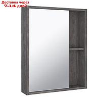 Зеркало-шкаф для ванной комнаты "Эко 52" железный камень, 13,5 х 53,5 х 66,5 см