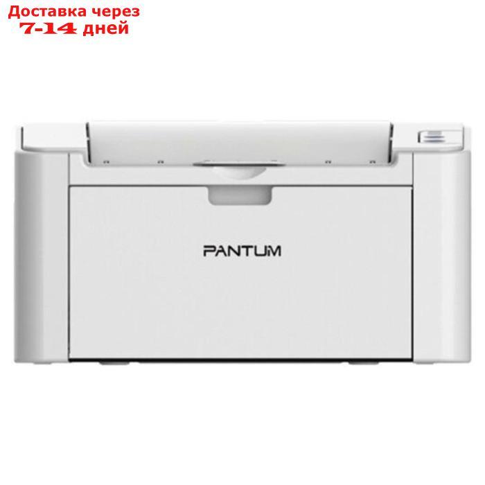 Принтер лазерный Pantum P2200 A4 серый - фото 1 - id-p226950780