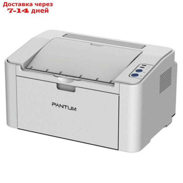 Принтер лазерный Pantum P2200 A4 серый - фото 2 - id-p226950780
