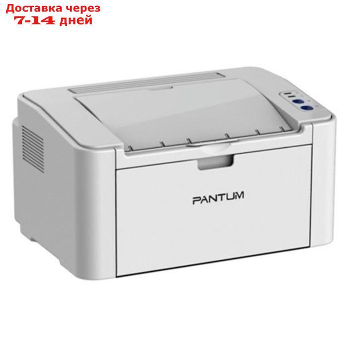 Принтер лазерный Pantum P2200 A4 серый - фото 3 - id-p226950780