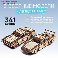 Набор сборных моделей Drovo "Спорткары. Легенды трека", механический