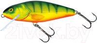 Воблер Salmo Perch / PH-120-FL-HPH QPH023