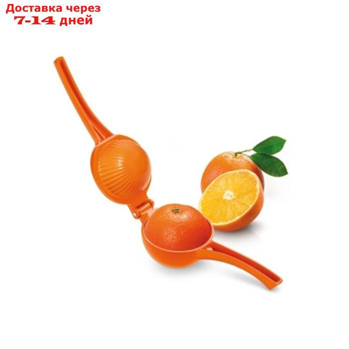 Соковыжималка для апельсинов Tescoma Grandchef - фото 3 - id-p227031074