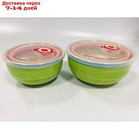 Набор из 2 салатников с пластиковыми крышками Elrington "Аэрограф зелень лета"