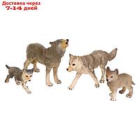 Набор фигурок "Мир диких животных: семья серых волков", 4 фигурки