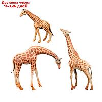 Набор фигурок "Мир диких животных": семья жирафов, 3 предмета
