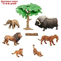Набор фигурок "Мир диких животных": семья львов, овцебык, слоненок, 8 предметов