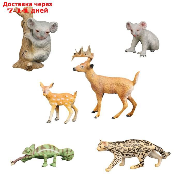 Набор фигурок "Мир диких животных": 2 коалы, 2 оленя, ягуар, хамелеон, 6 фигурок - фото 1 - id-p227042440