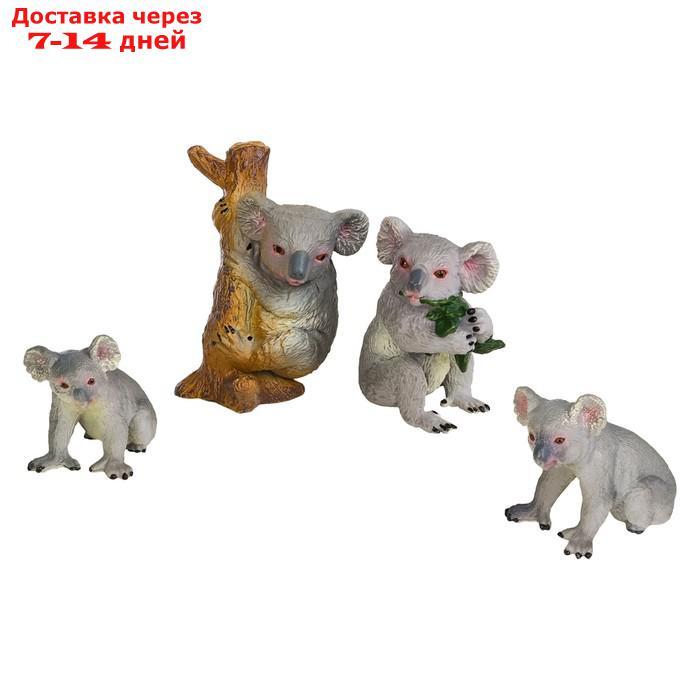 Набор фигурок "Мир диких животных": семья коал, 4 предмета - фото 1 - id-p227042443