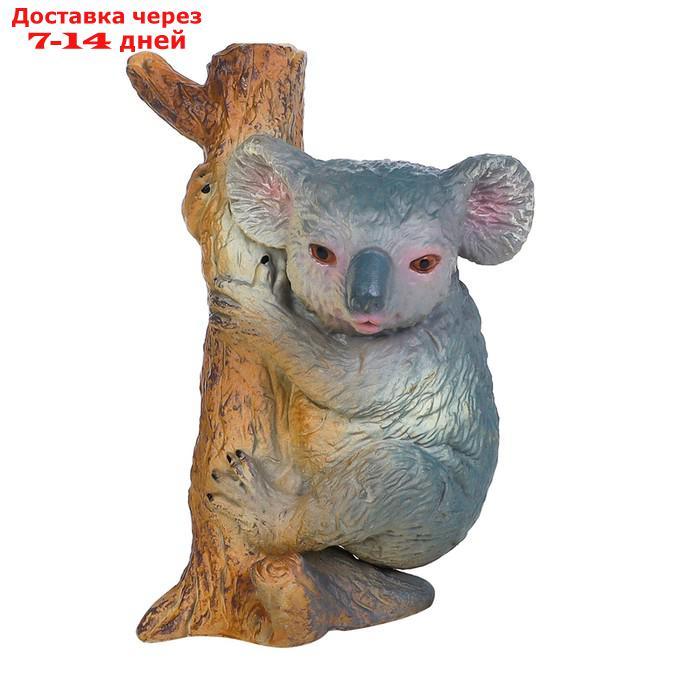 Набор фигурок "Мир диких животных": семья коал, 4 предмета - фото 4 - id-p227042443