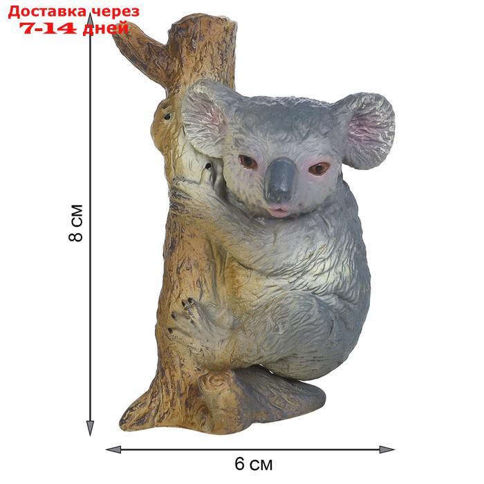 Набор фигурок "Мир диких животных": семья коал, 4 предмета - фото 5 - id-p227042443