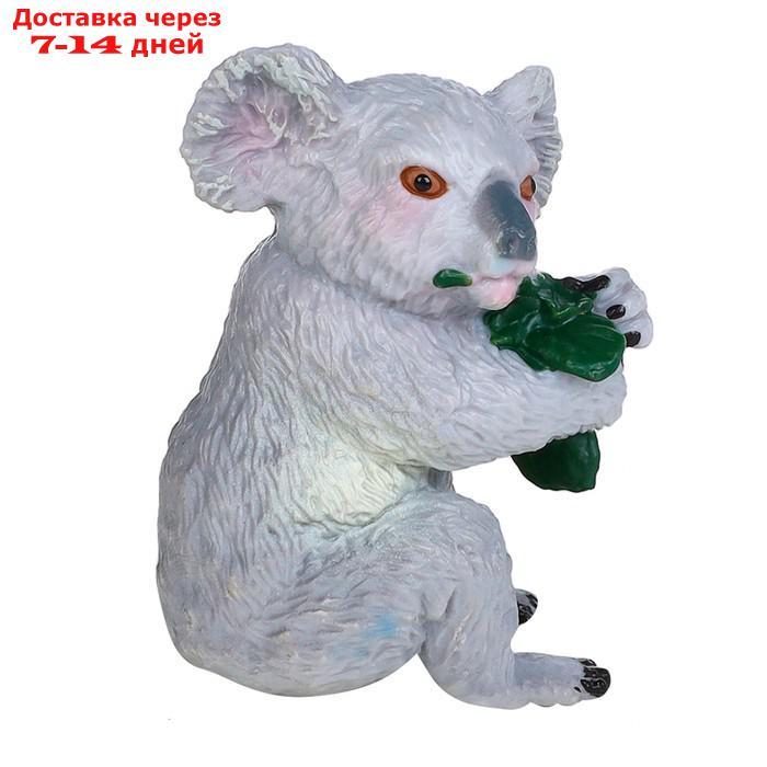 Набор фигурок "Мир диких животных": семья коал, 4 предмета - фото 8 - id-p227042443