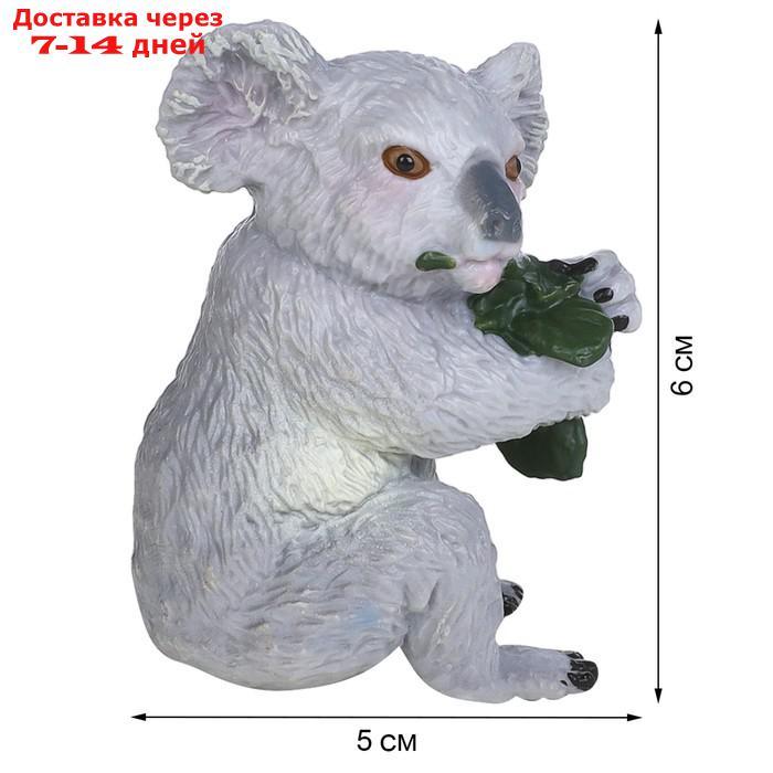 Набор фигурок "Мир диких животных": семья коал, 4 предмета - фото 9 - id-p227042443