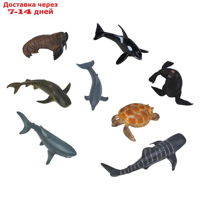 Набор фигурок: касатка, 3 акулы, морж, дельфин, черепаха, тюлень 8 фигурок животных - фото 1 - id-p227042449