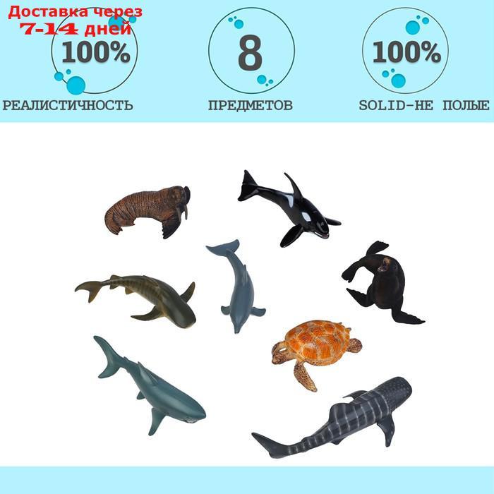 Набор фигурок: касатка, 3 акулы, морж, дельфин, черепаха, тюлень 8 фигурок животных - фото 3 - id-p227042449