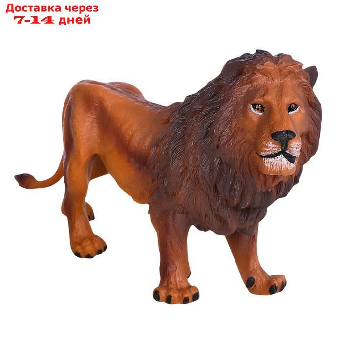 Набор фигурок "Мир диких животных": семья львов и семья зебр, 5 предметов - фото 6 - id-p227042463