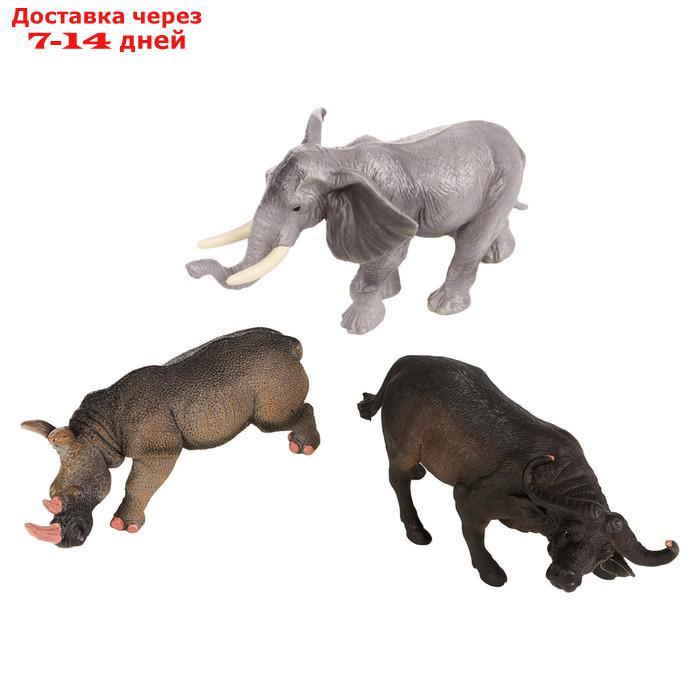 Набор фигурок "Мир диких животных": слон, носорог, буйвол, 3 фигурок - фото 1 - id-p227042464