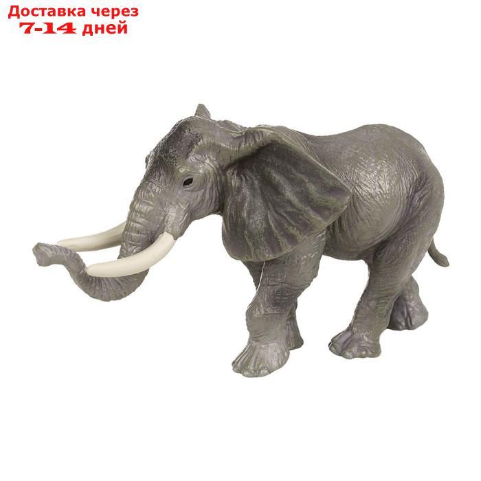 Набор фигурок "Мир диких животных": слон, носорог, буйвол, 3 фигурок - фото 4 - id-p227042464