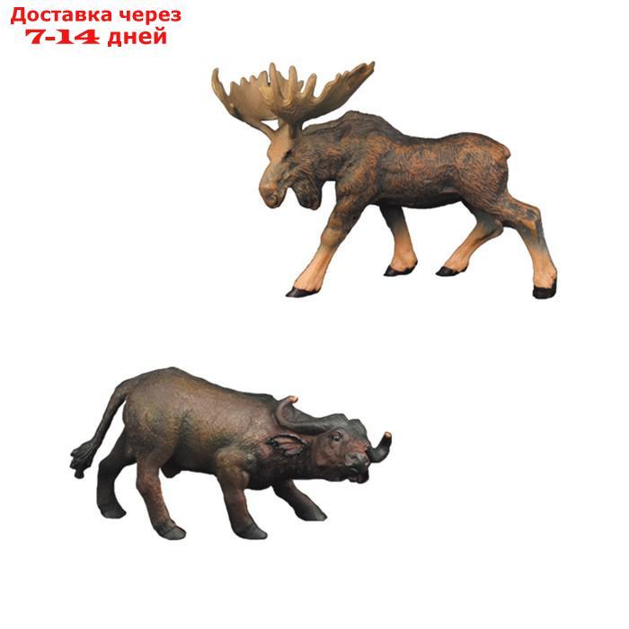 Набор фигурок "Мир диких животных": буйвол и лось, 2 предмета - фото 1 - id-p227042470