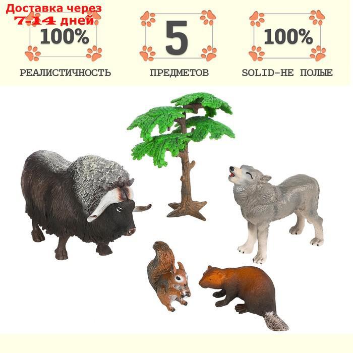 Набор фигурок "Мир диких животных": овцебык, бобер, волк, белка, 5 предметов - фото 1 - id-p227042476