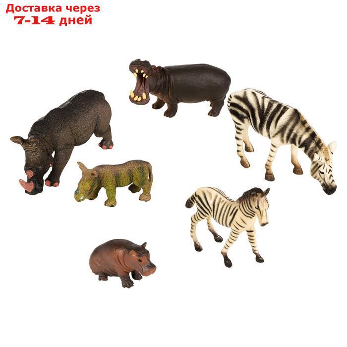 Набор фигурок "Мир диких животных": 2 зебры, 2 бегемота, 2 носорога, 6 фигурок - фото 1 - id-p227042483