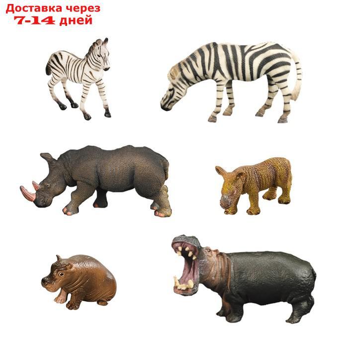 Набор фигурок "Мир диких животных": 2 зебры, 2 бегемота, 2 носорога, 6 фигурок - фото 7 - id-p227042483