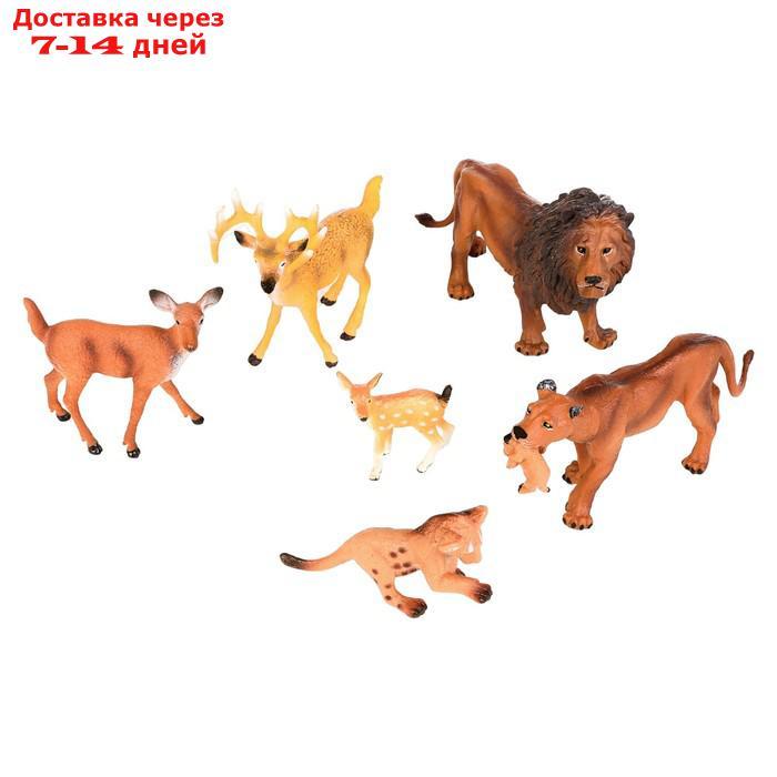 Набор фигурок "Мир диких животных": семья львов и семья оленей, 6 предметов - фото 1 - id-p227042484