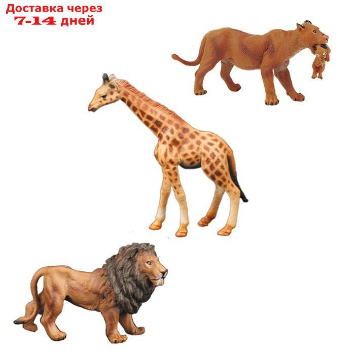 Набор фигурок "Мир диких животных": львица, лев, жираф, 3 фигурок - фото 1 - id-p227042492