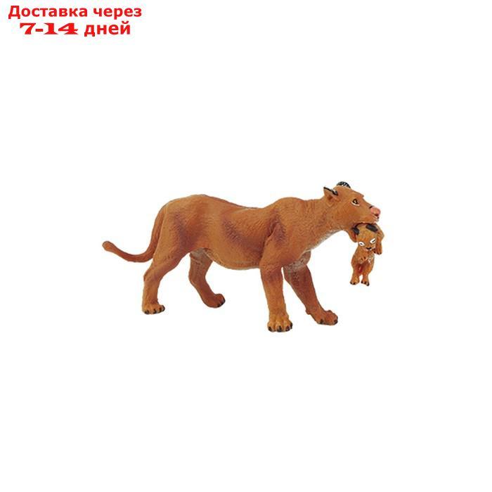 Набор фигурок "Мир диких животных": львица, лев, жираф, 3 фигурок - фото 2 - id-p227042492