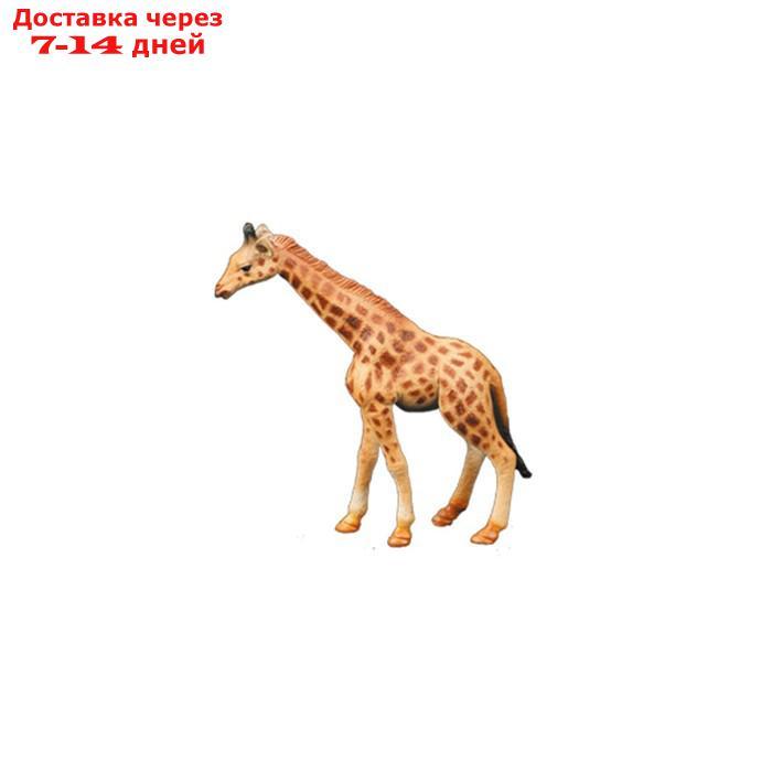 Набор фигурок "Мир диких животных": львица, лев, жираф, 3 фигурок - фото 4 - id-p227042492