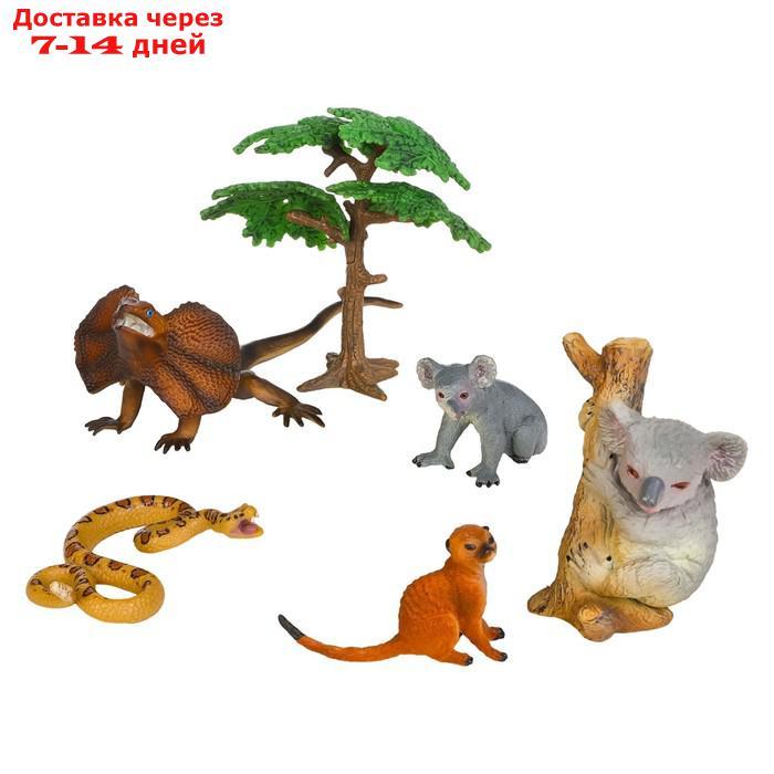 Набор фигурок "Мир диких животных": 2 коалы, сурикат, ящерица, змея, 6 предметов - фото 1 - id-p227042497