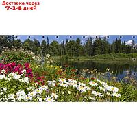 Фотосетка, 314 × 155 см, с фотопечатью, люверсы шаг 0.3 м, "Цветы луговые"
