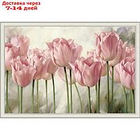 Репродукция картины "Розовые тюльпаны. №2", 50х70, рама (45-A355)