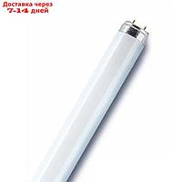 Лампа люминесцентная L 30W/76 NATURA DE LUXE 30Вт T8 3500К G13 OSRAM 4050300010540