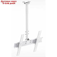 Кронштейн для телевизора Holder PR-101-W белый 32"-65" макс.60кг потолочный фиксированный