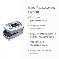 Пульсоксиметры серии РО: модель РО 30 с принадлежностями., фото 2