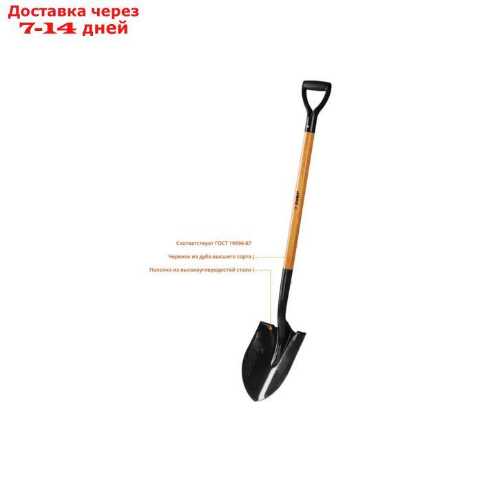 Лопата штыковая, острая, L = 120 см, деревянный черенок, с ручкой, "ЗУБР" - фото 2 - id-p227031042