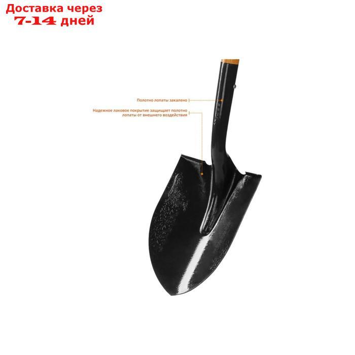 Лопата штыковая, острая, L = 120 см, деревянный черенок, с ручкой, "ЗУБР" - фото 3 - id-p227031042
