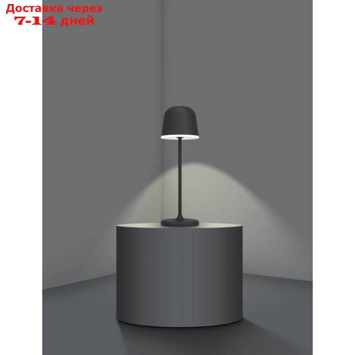 Настольная лампа MANNERA, LED 2,2Вт USB TYPE-C IP54 - фото 4 - id-p227023317
