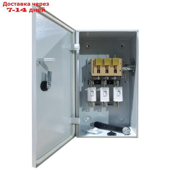 Ящик силовой Электрофидер ЯРП-100А, IP54 - фото 1 - id-p227068354