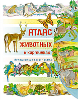 Книга Атлас животных в картинках. Путешествие вокруг света