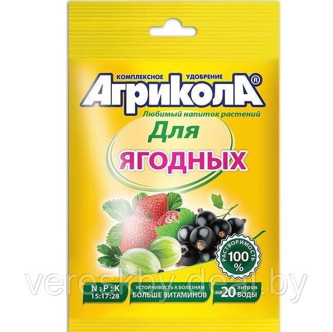 Универсальное комплексное удобрение "Агрикола" для ягодных культур, пак. 50 г. - фото 1 - id-p195498853